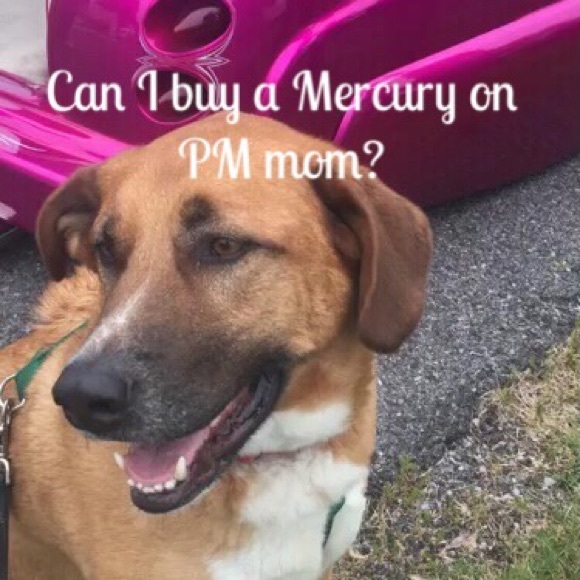 It’s back!! Let’s play at follow game! - Picture 4 of 8